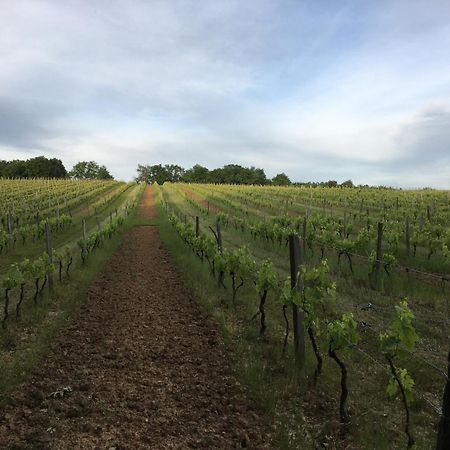 Chateau Masburel Fougueyrolles Eksteriør billede